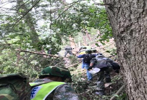 翻山越岭爆料新闻视频播放,揭秘新闻背后的惊心动魄